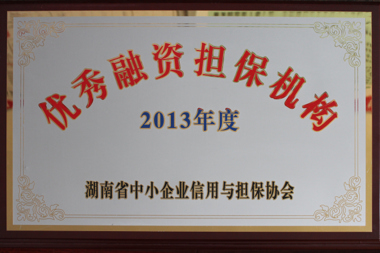2013ʵ