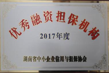 2017ʵ