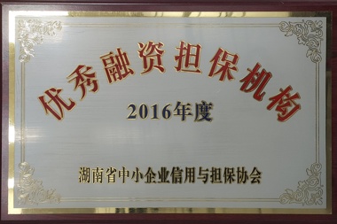 2016ʵ