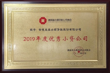 2019С˾˫Сɷ޹˾