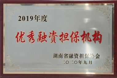 2019ʵ