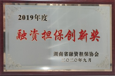 2019ʵ½