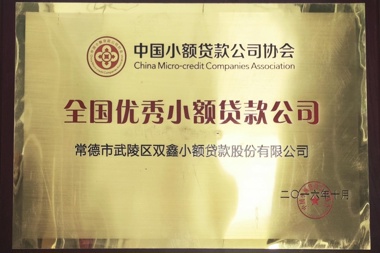 2016ȫС˾˫Сɷ޹˾