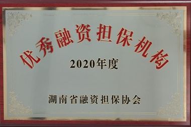 2020ʵ
