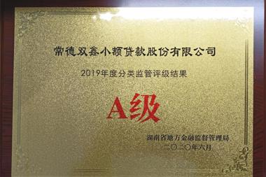 2019ȷA˫Сɷ޹˾