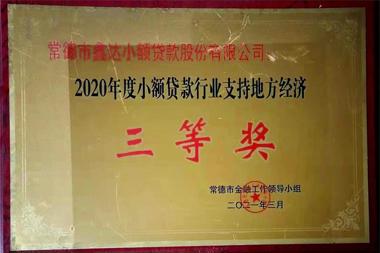 2020ʵҵֵ֧طȽδСɷ޹˾
